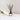 Wilde Bergamot. Jasmine & Musk 120ml Reed Diffuser With 8 Reeds - Wolf & Wilde